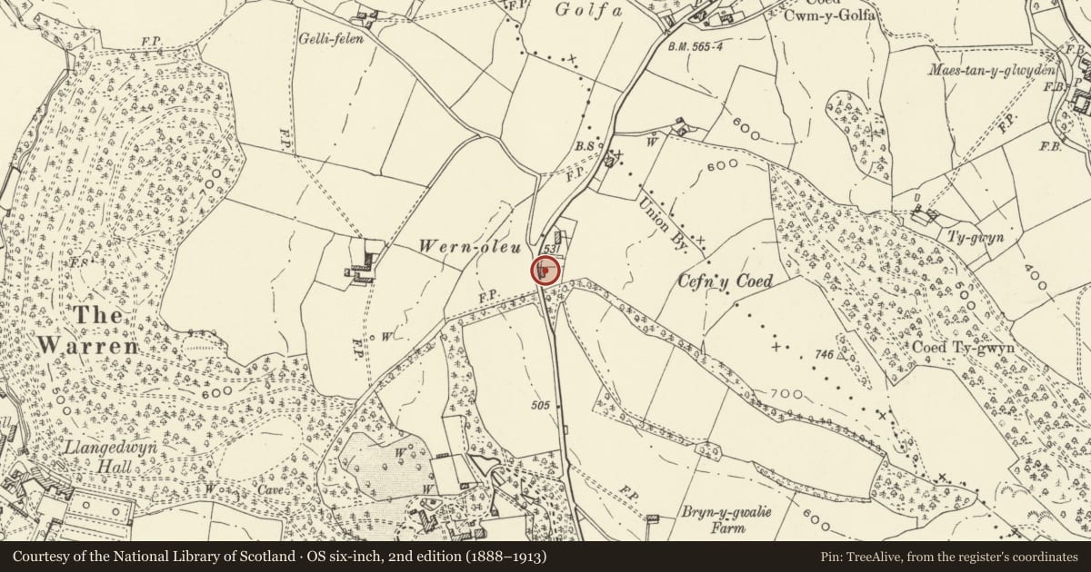 Ordnance Survey six-inch map, 2nd edition (1888–1913) covering the location of Rose Cottage, Llangedwyn, Powys, with a pin at the register's coordinates