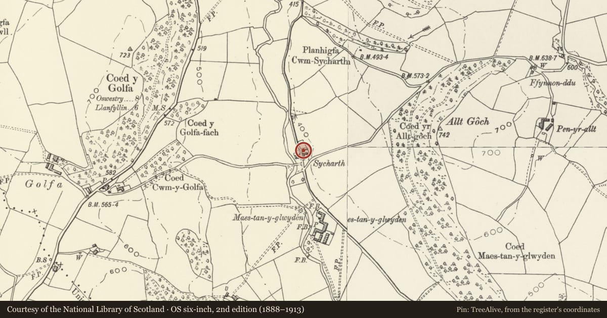 Ordnance Survey six-inch map, 2nd edition (1888–1913) covering the location of Sycharth, Llangedwyn, Powys, with a pin at the register's coordinates
