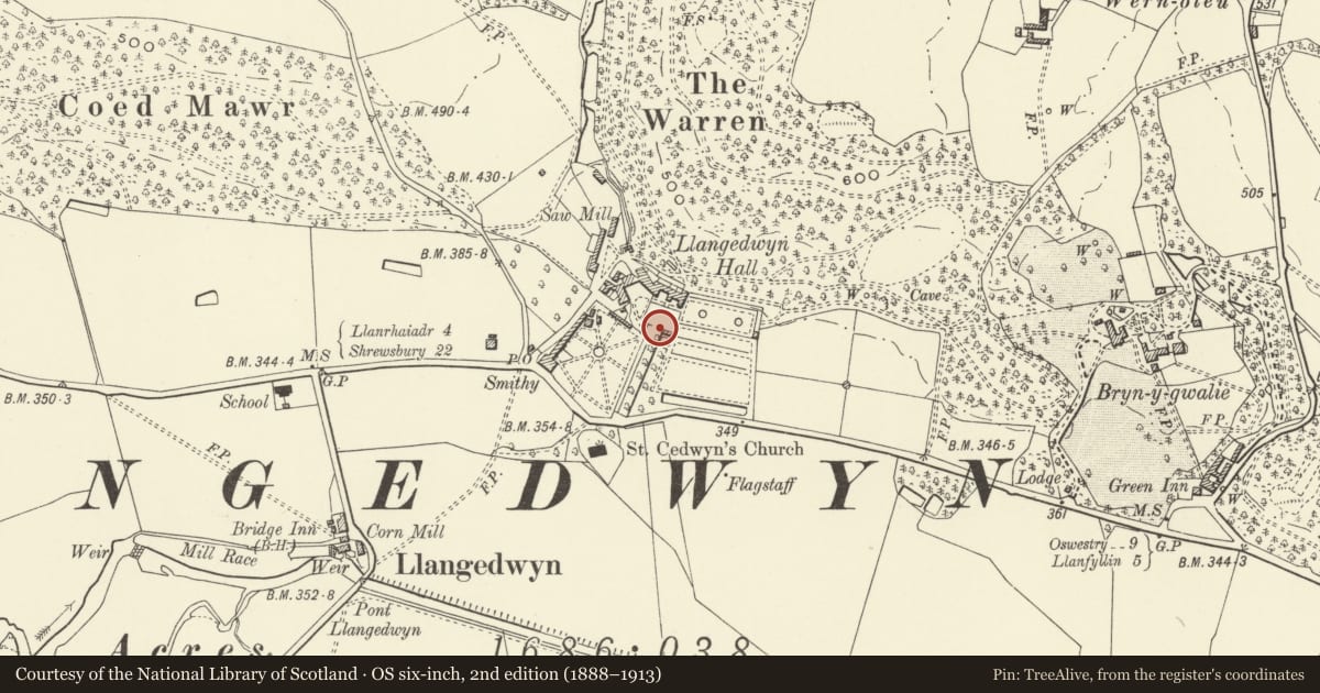 Ordnance Survey six-inch map, 2nd edition (1888–1913) covering the location of Walls to Formal Gardens of Llangedwyn Hall, Powys, with a pin at the register's coordinates