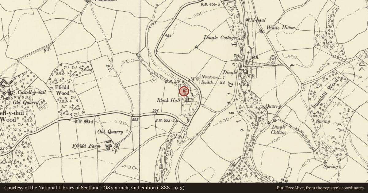 Ordnance Survey six-inch map, 2nd edition (1888–1913) covering the location of Agricultural Buildings at Black Hall, Newtown and Llanllwchaiarn, Powys, with a pin at the register's coordinates