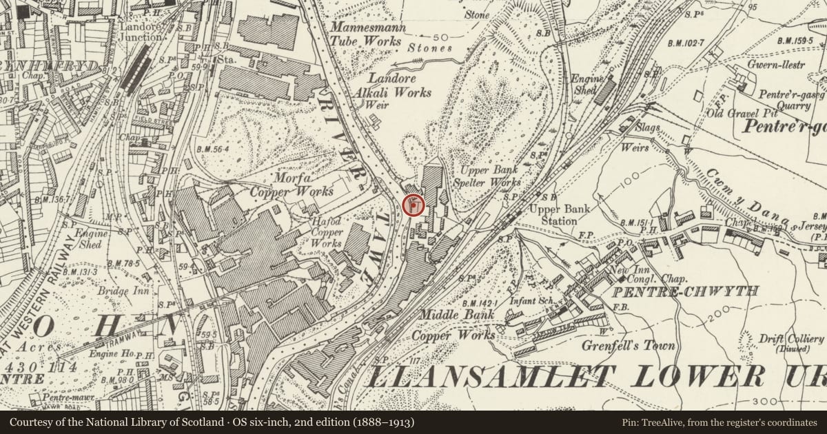 Ordnance Survey six-inch map, 2nd edition (1888–1913) covering the location of Quay walls at former Upper Bank Works, Bonymaen, Swansea, with a pin at the register's coordinates
