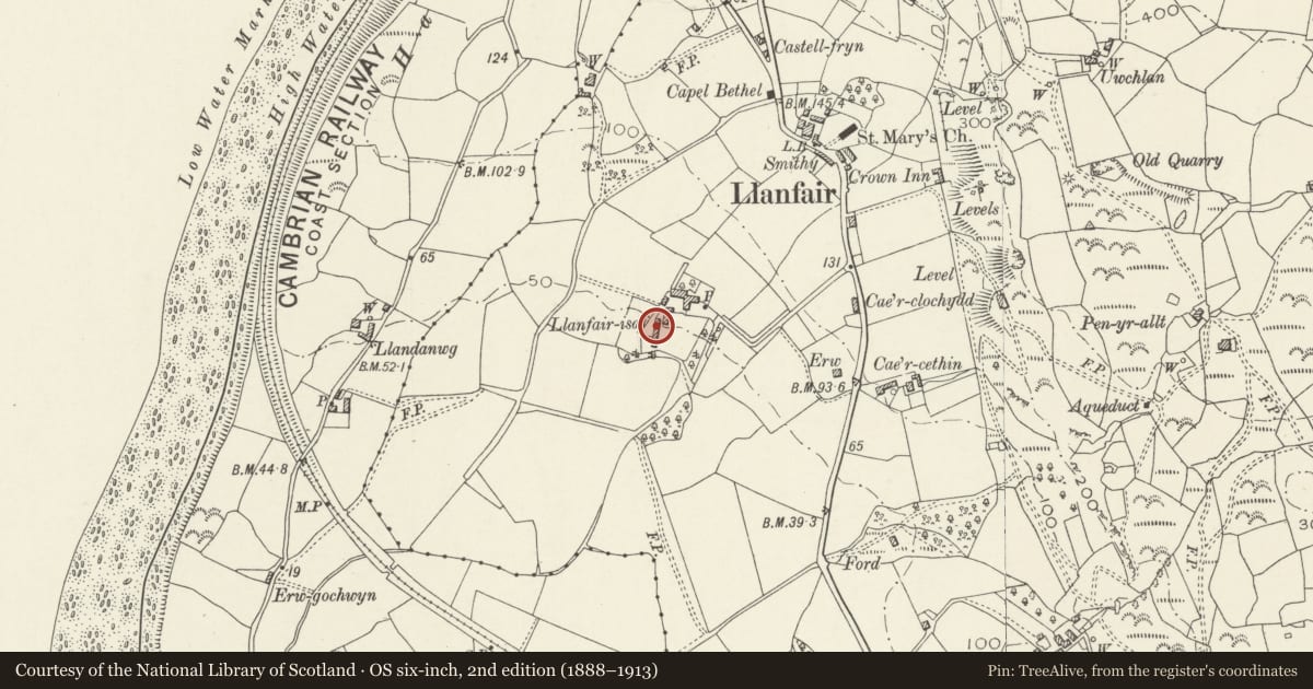 Ordnance Survey six-inch map, 2nd edition (1888–1913) covering the location of Barn to the S of Llanfair Isaf, Gwynedd, with a pin at the register's coordinates