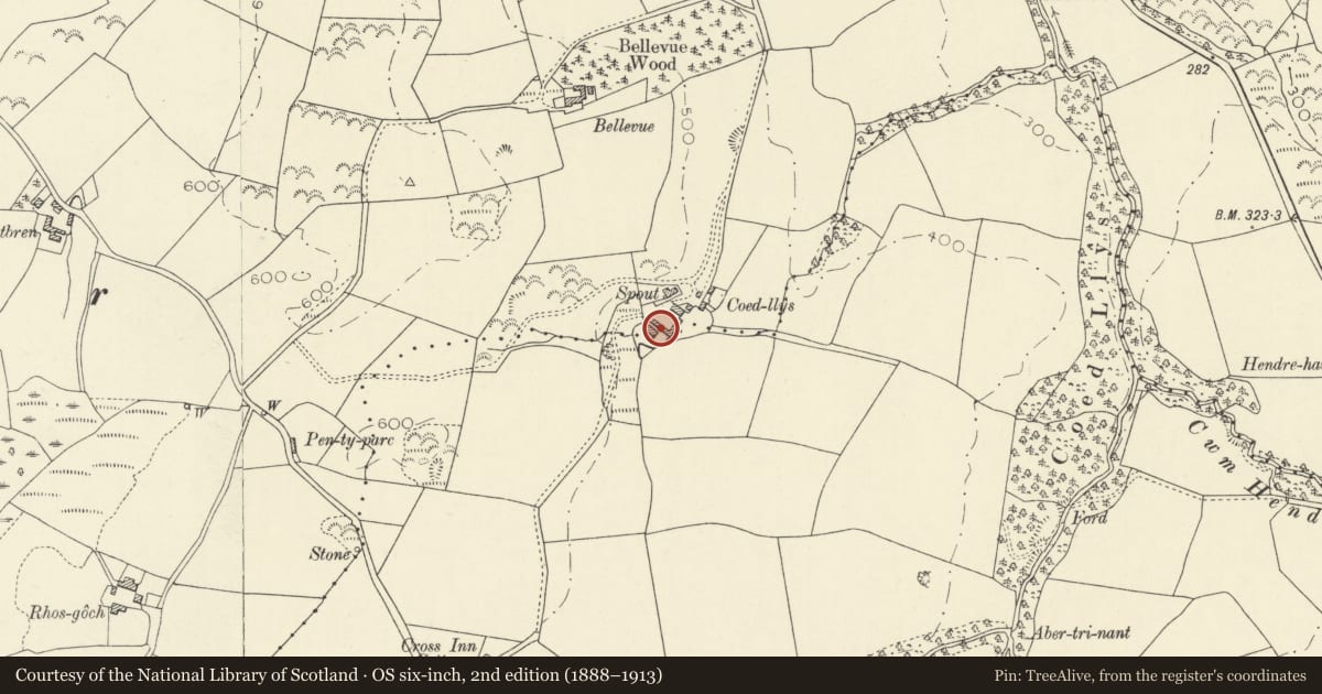Ordnance Survey six-inch map, 2nd edition (1888–1913) covering the location of Barn and attached outbuildings at Coedllys, Llanilar, Ceredigion, with a pin at the register's coordinates
