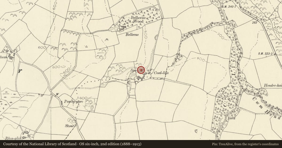 Ordnance Survey six-inch map, 2nd edition (1888–1913) covering the location of Coedllys, Llanilar, Ceredigion, with a pin at the register's coordinates