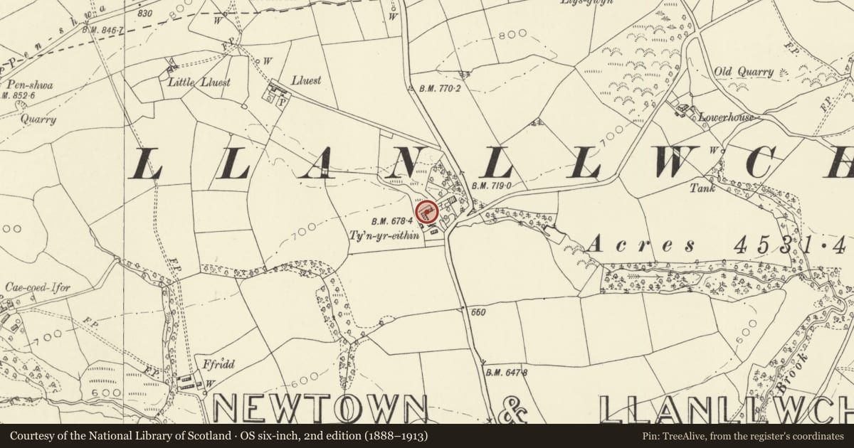 Ordnance Survey six-inch map, 2nd edition (1888–1913) covering the location of Tynyreithin Hall, Newtown and Llanllwchaiarn, Powys, with a pin at the register's coordinates