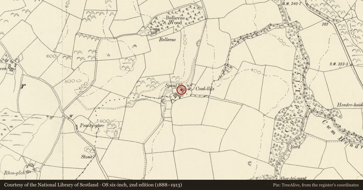 Ordnance Survey six-inch map, 2nd edition (1888–1913) covering the location of Former Cowhouse, Llanilar, Ceredigion, with a pin at the register's coordinates