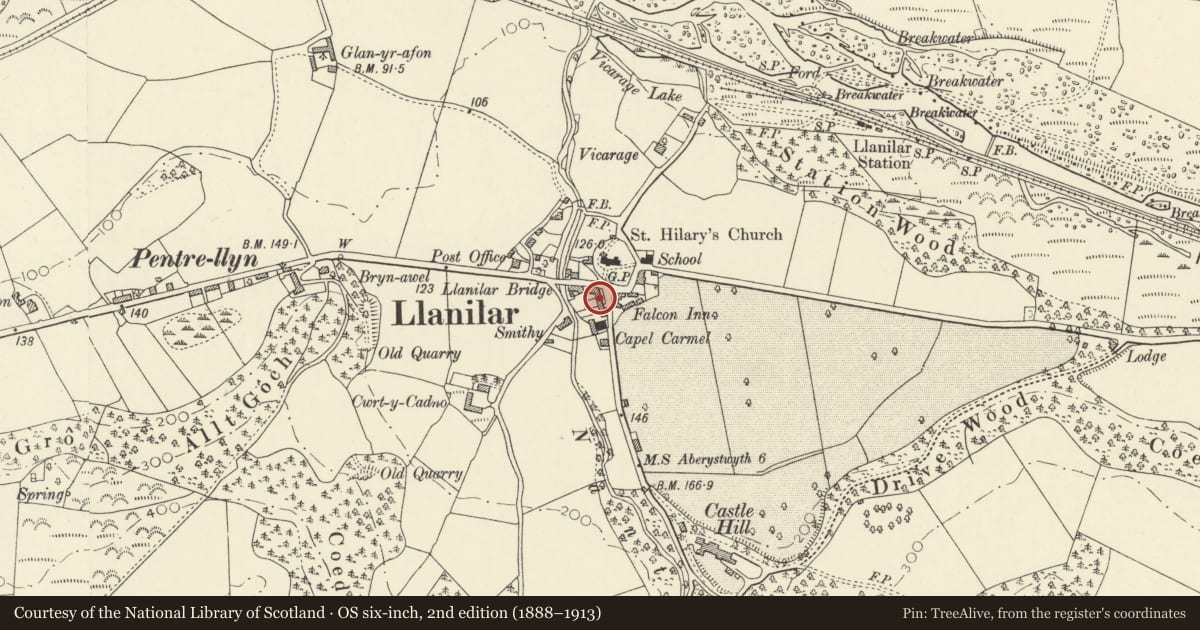 Ordnance Survey six-inch map, 2nd edition (1888–1913) covering the location of Llwyn with front railings, Llanilar, Ceredigion, with a pin at the register's coordinates