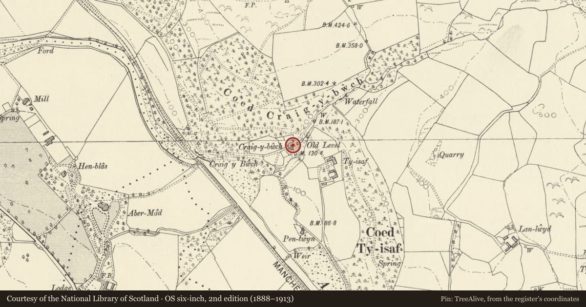 Ordnance Survey six-inch map, 2nd edition (1888–1913) covering the location of Outbuilding at Craig y Bwch, Llanilar, Ceredigion, with a pin at the register's coordinates