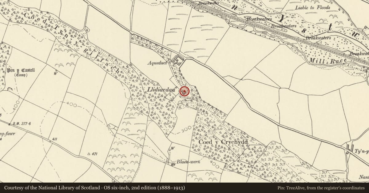 Ordnance Survey six-inch map, 2nd edition (1888–1913) covering the location of Plas Llidiardau, Llanilar, Ceredigion, with a pin at the register's coordinates