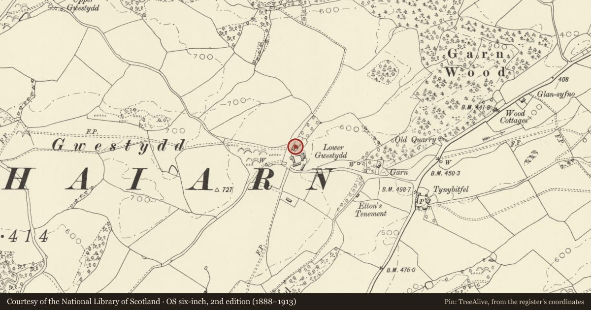 Ordnance Survey six-inch map, 2nd edition (1888–1913) covering the location of Lower Gwestydd Farmhouse, Newtown and Llanllwchaiarn, Powys, with a pin at the register's coordinates