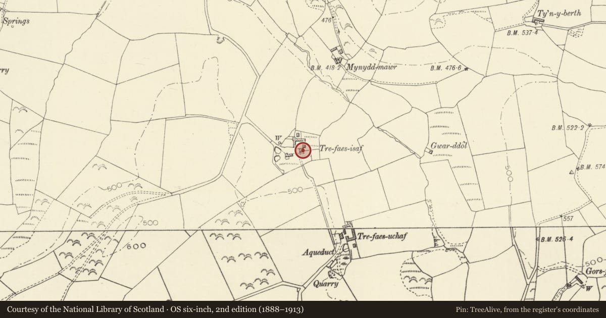 Ordnance Survey six-inch map, 2nd edition (1888–1913) covering the location of Trefaes Isaf and front garden walls and railings, Llanilar, Ceredigion, with a pin at the register's coordinates