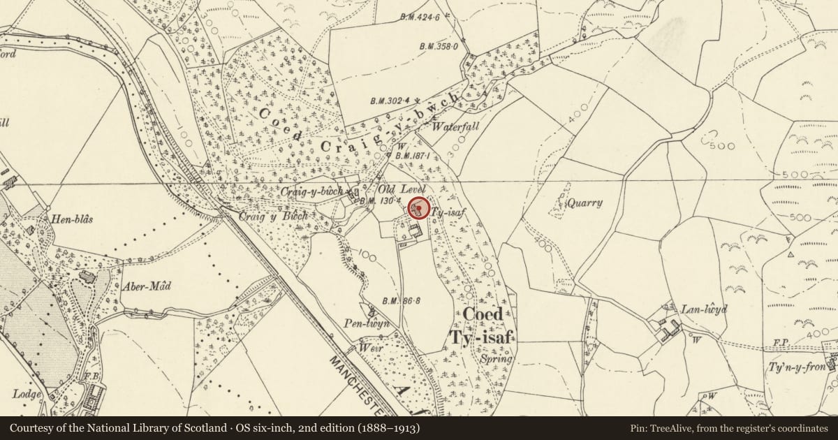 Ordnance Survey six-inch map, 2nd edition (1888–1913) covering the location of Ty Isaf, Llanilar, Ceredigion, with a pin at the register's coordinates