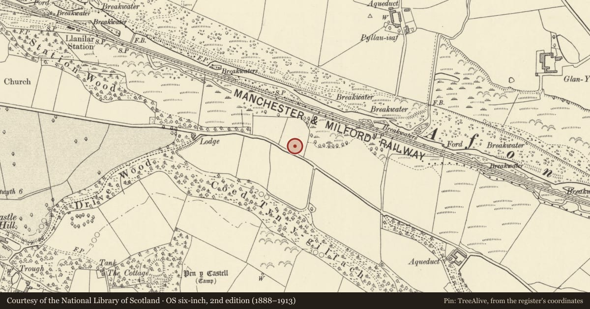 Ordnance Survey six-inch map, 2nd edition (1888–1913) covering the location of Ty Cnwc, Llanilar, Ceredigion, with a pin at the register's coordinates