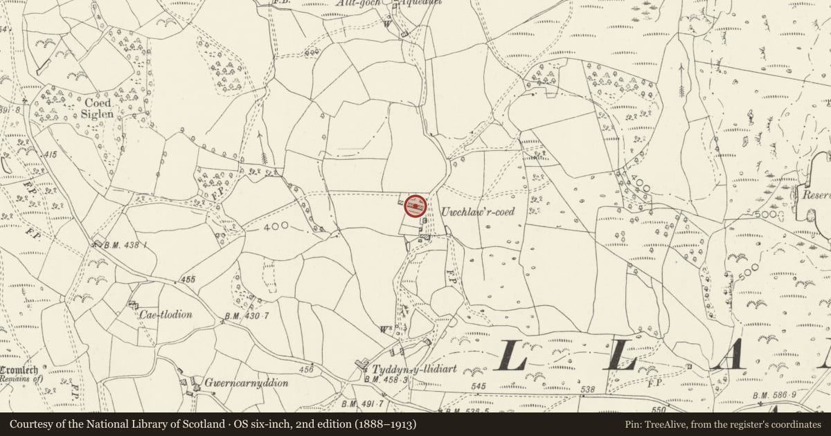 Ordnance Survey six-inch map, 2nd edition (1888–1913) covering the location of Agricultural range at Uwchlawr-coed, Llanbedr, Gwynedd, with a pin at the register's coordinates