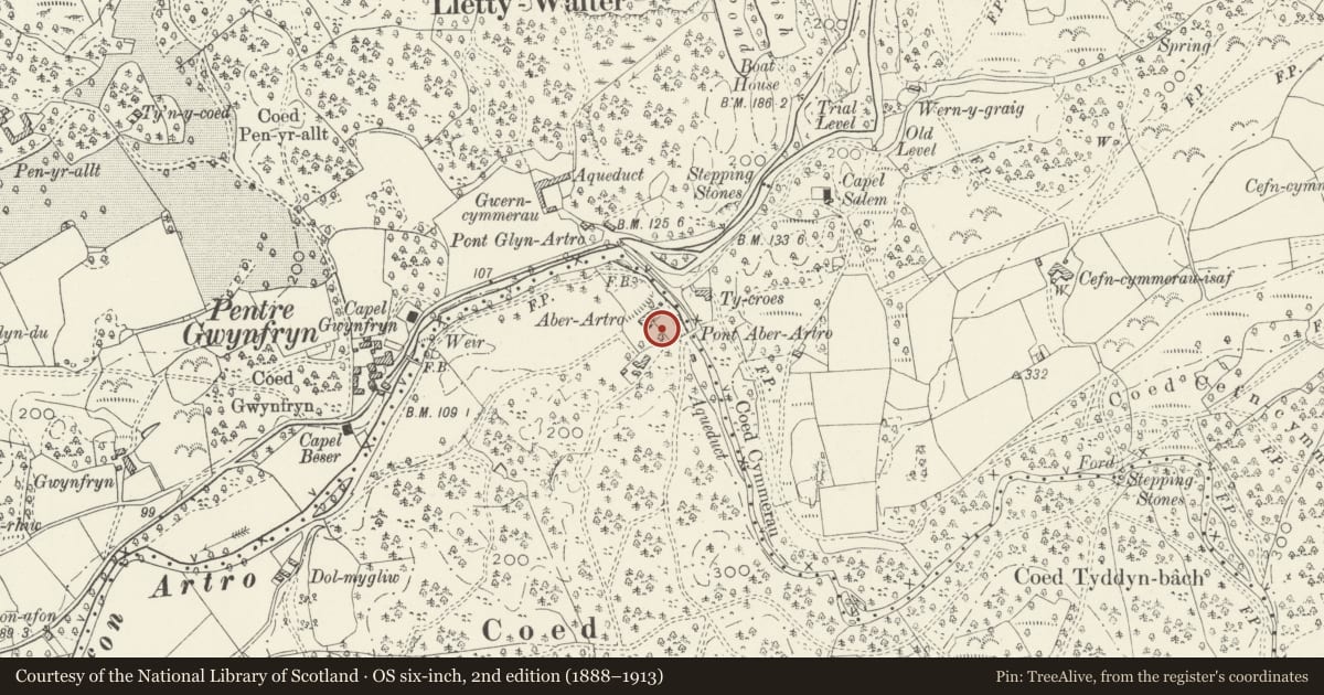 Ordnance Survey six-inch map, 2nd edition (1888–1913) covering the location of Aberartro Hall, Llanbedr, Gwynedd, with a pin at the register's coordinates