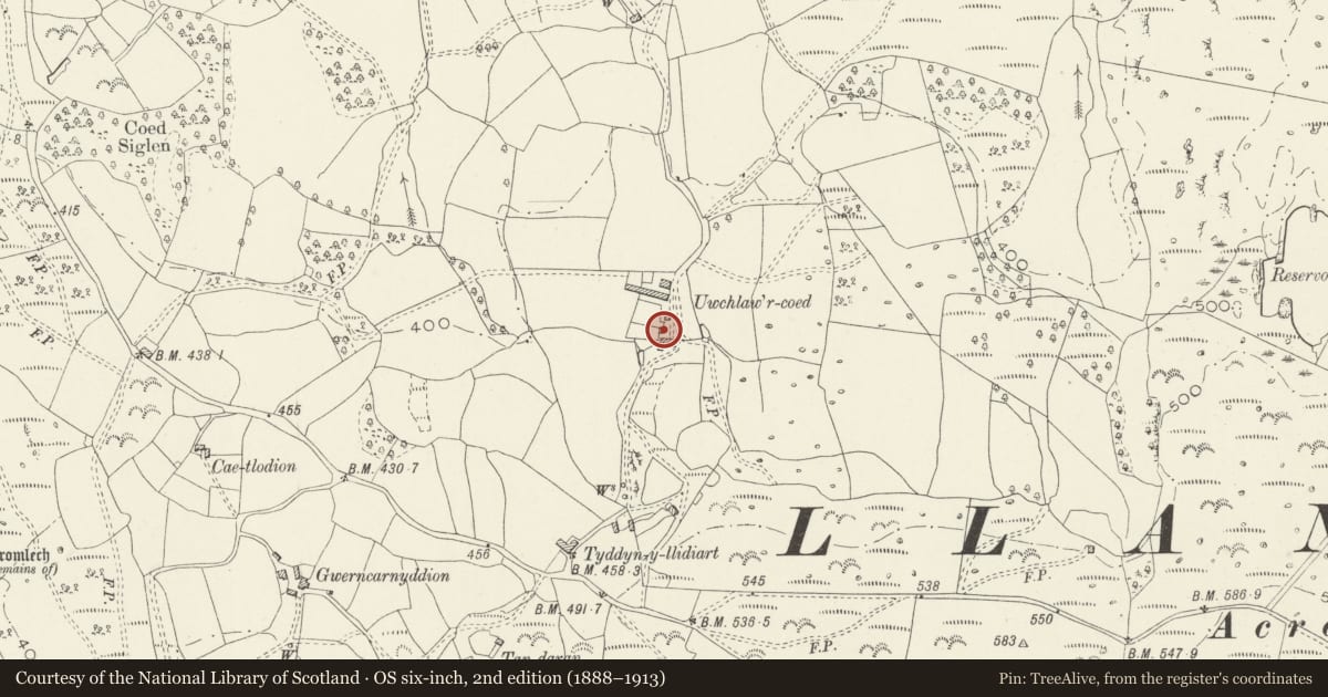 Ordnance Survey six-inch map, 2nd edition (1888–1913) covering the location of Bakehouse at Uwchlawr-coed, Llanbedr, Gwynedd, with a pin at the register's coordinates