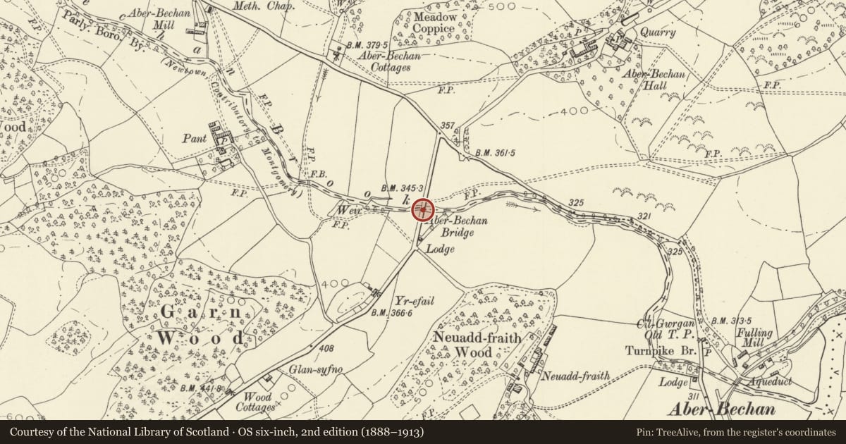 Ordnance Survey six-inch map, 2nd edition (1888–1913) covering the location of Aberbechan Bridge, Newtown and Llanllwchaiarn, Powys, with a pin at the register's coordinates