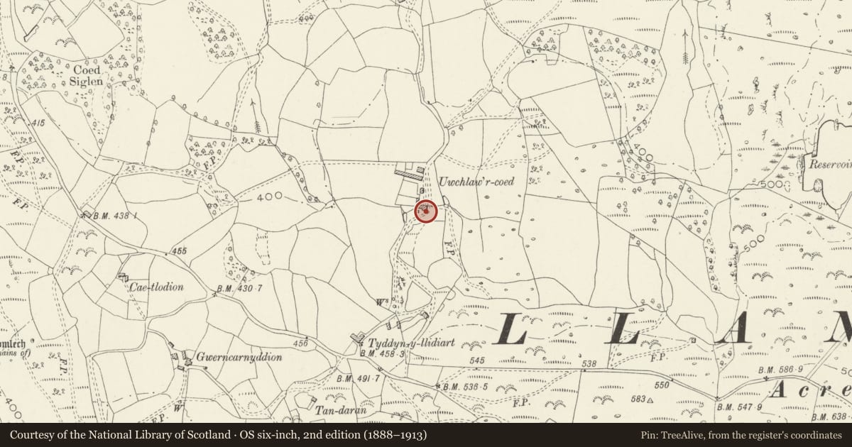 Ordnance Survey six-inch map, 2nd edition (1888–1913) covering the location of Chaff house at Uwchlawr-coed, Llanbedr, Gwynedd, with a pin at the register's coordinates