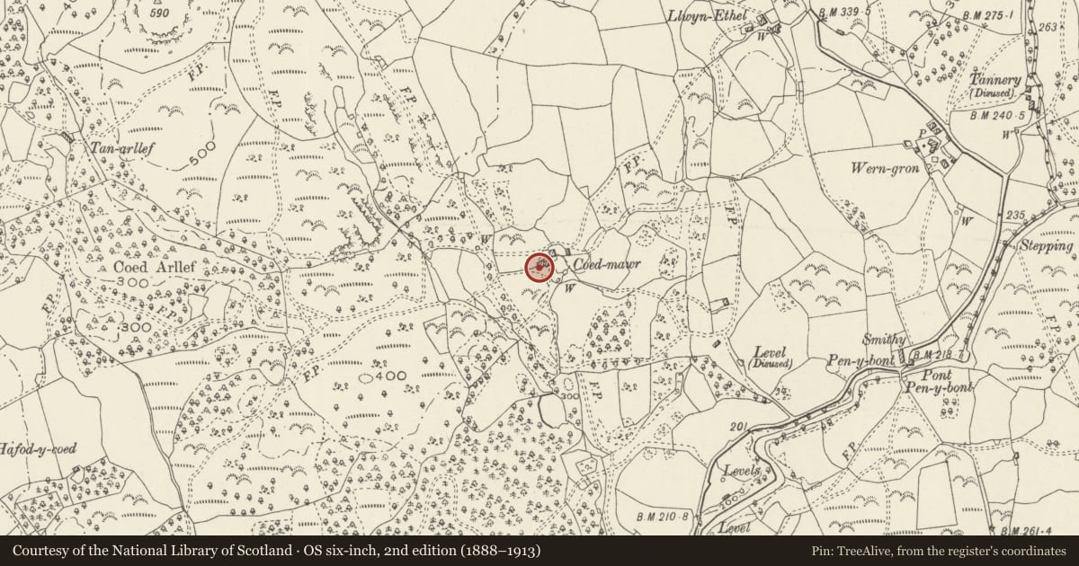 Ordnance Survey six-inch map, 2nd edition (1888–1913) covering the location of Coed Mawr, Llanbedr, Gwynedd, with a pin at the register's coordinates
