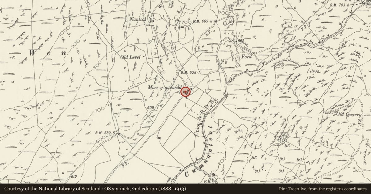 Ordnance Survey six-inch map, 2nd edition (1888–1913) covering the location of Cowhouse at Maes-y-garnedd, Llanbedr, Gwynedd, with a pin at the register's coordinates