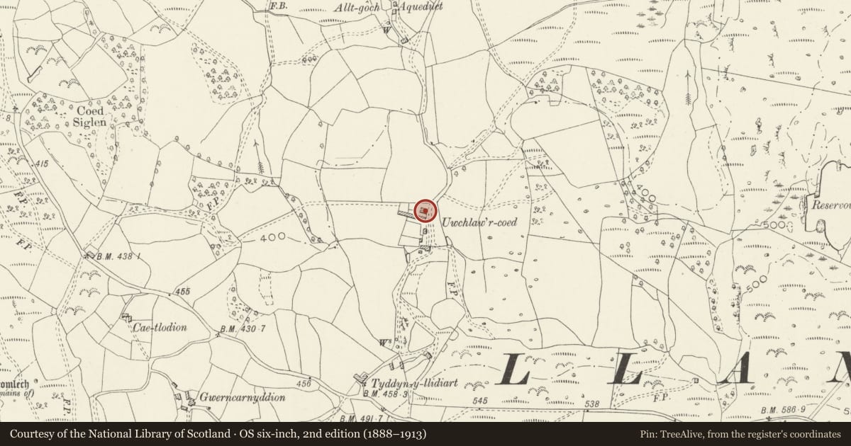 Ordnance Survey six-inch map, 2nd edition (1888–1913) covering the location of Cowhouse at Uwchlawr-coed, Llanbedr, Gwynedd, with a pin at the register's coordinates