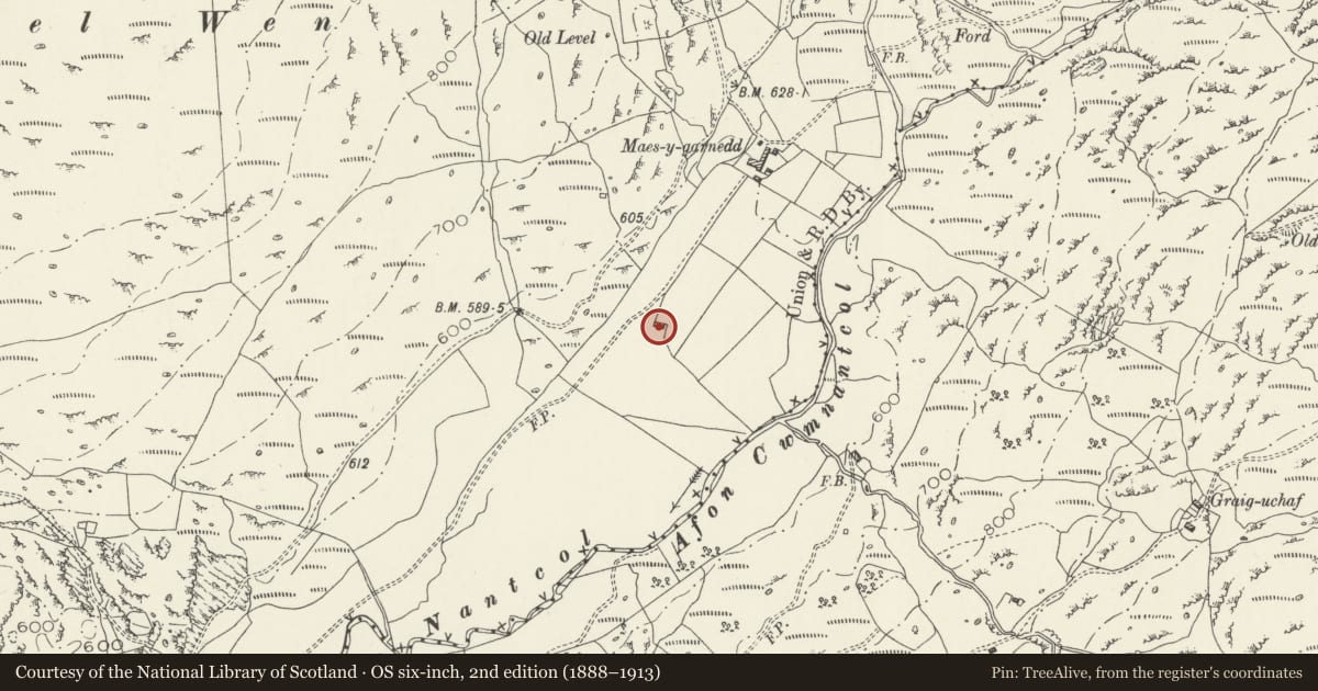 Ordnance Survey six-inch map, 2nd edition (1888–1913) covering the location of Field cowhouse at Maes-y-garnedd, Llanbedr, Gwynedd, with a pin at the register's coordinates