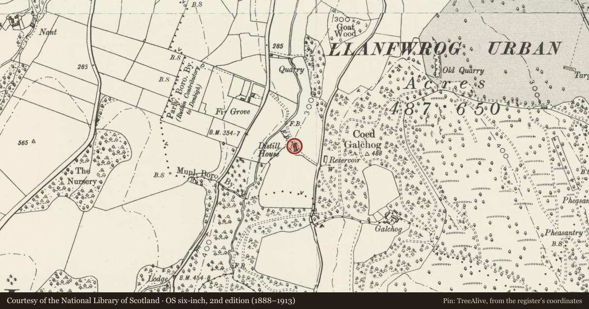 Ordnance Survey six-inch map, 2nd edition (1888–1913) covering the location of Distyll, Ruthin, Denbighshire, with a pin at the register's coordinates