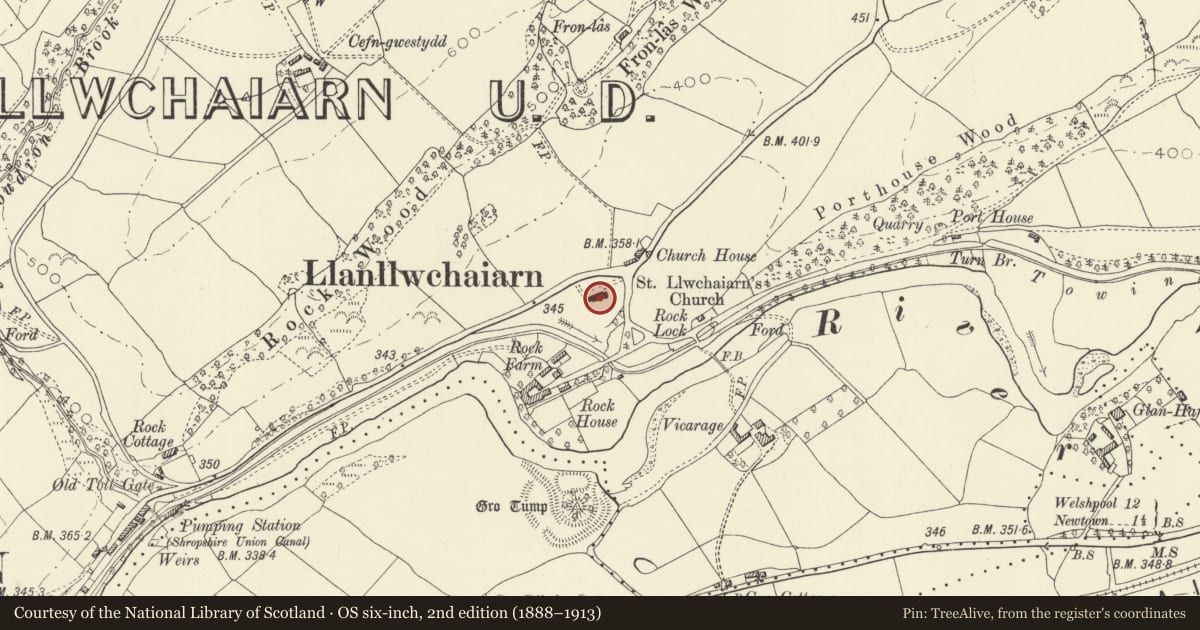 Ordnance Survey six-inch map, 2nd edition (1888–1913) covering the location of Parish Church of St Llwchaiarn, Newtown and Llanllwchaiarn, Powys, with a pin at the register's coordinates