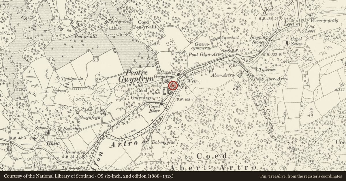 Ordnance Survey six-inch map, 2nd edition (1888–1913) covering the location of Gwynfryn House, Llanbedr, Gwynedd, with a pin at the register's coordinates
