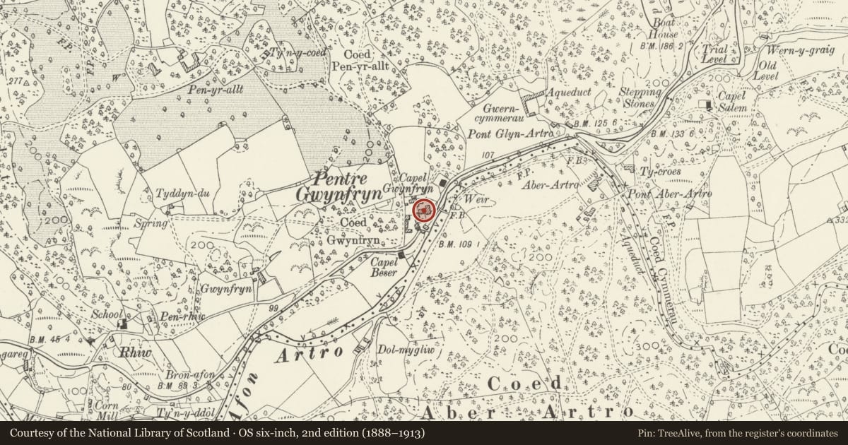 Ordnance Survey six-inch map, 2nd edition (1888–1913) covering the location of House adjacent to Gwynfryn House, Llanbedr, Gwynedd, with a pin at the register's coordinates