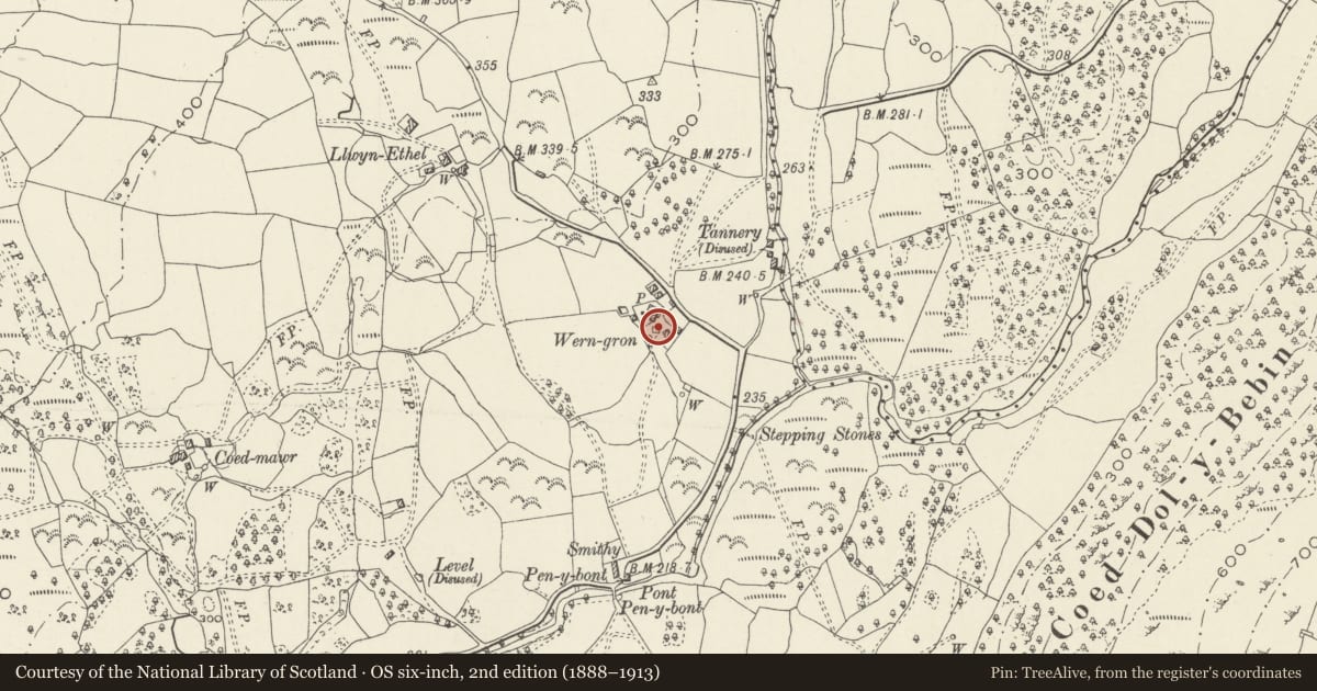 Ordnance Survey six-inch map, 2nd edition (1888–1913) covering the location of Lofted cowhouse at Wern Gron, Llanbedr, Gwynedd, with a pin at the register's coordinates