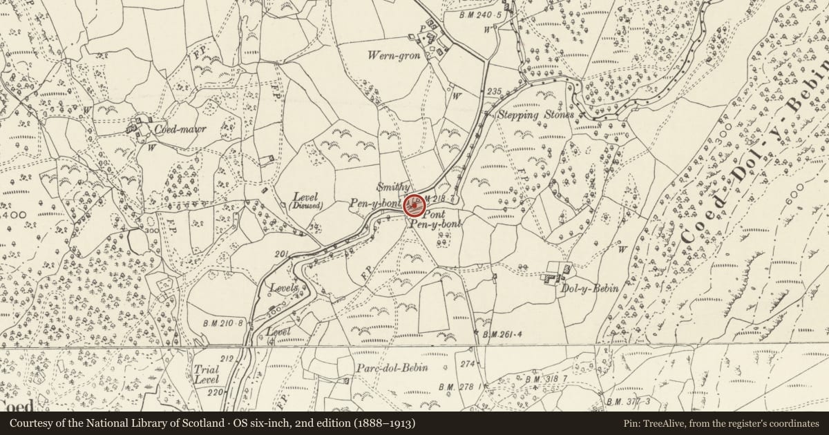 Ordnance Survey six-inch map, 2nd edition (1888–1913) covering the location of Penybont, Llanbedr, Gwynedd, with a pin at the register's coordinates