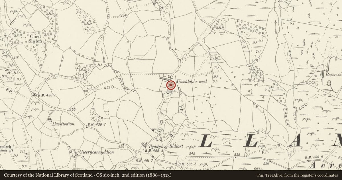 Ordnance Survey six-inch map, 2nd edition (1888–1913) covering the location of Pigsties at Uwchlawr-coed, Llanbedr, Gwynedd, with a pin at the register's coordinates