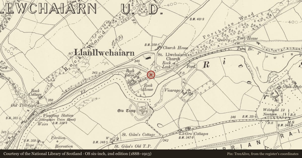 Ordnance Survey six-inch map, 2nd edition (1888–1913) covering the location of Canal Bridge at Llanllwchaiarn, Newtown and Llanllwchaiarn, Powys, with a pin at the register's coordinates