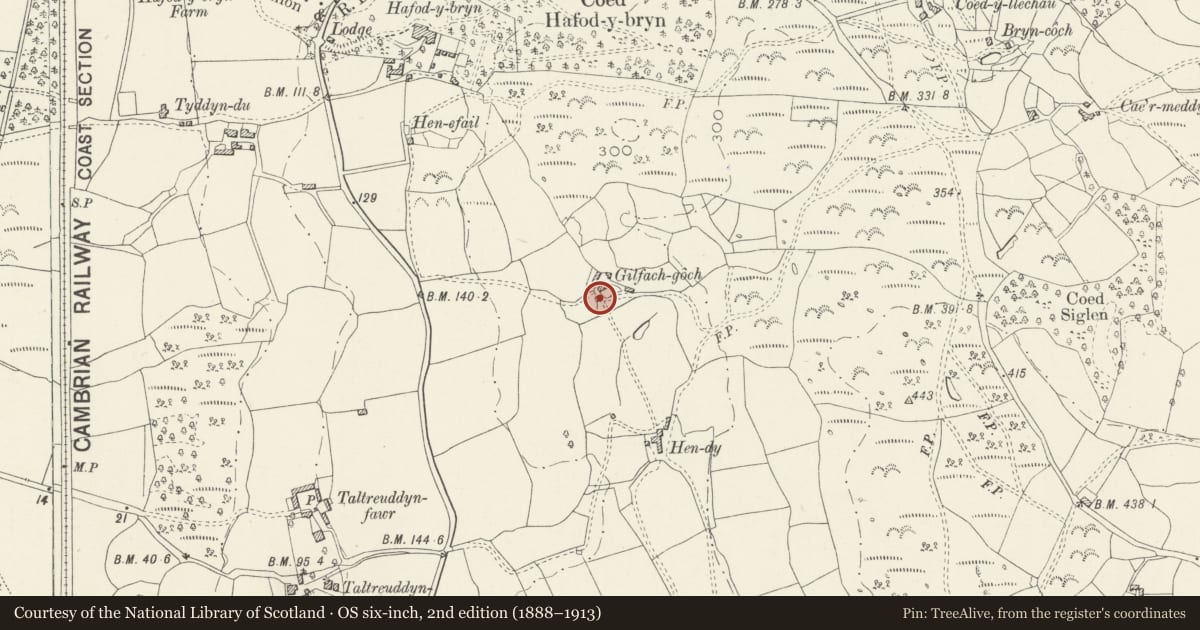Ordnance Survey six-inch map, 2nd edition (1888–1913) covering the location of Pigsty and brewhouse range at Gilfach Goch, Llanbedr, Gwynedd, with a pin at the register's coordinates