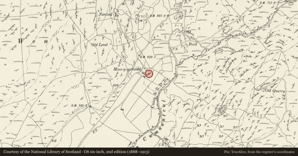 Ordnance Survey six-inch map, 2nd edition (1888–1913) covering the location of Pigsty range at Maes-y-garnedd, Llanbedr, Gwynedd, with a pin at the register's coordinates