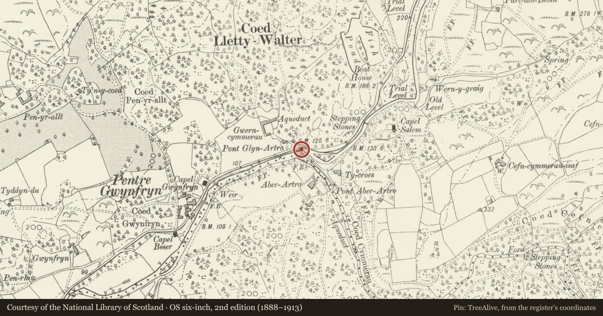 Ordnance Survey six-inch map, 2nd edition (1888–1913) covering the location of Pont Glyn-artro, Llanbedr, Gwynedd, with a pin at the register's coordinates
