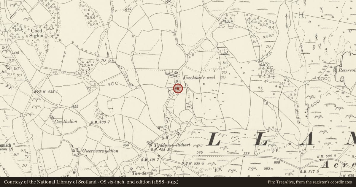 Ordnance Survey six-inch map, 2nd edition (1888–1913) covering the location of Uwchlawr-coed, Llanbedr, Gwynedd, with a pin at the register's coordinates