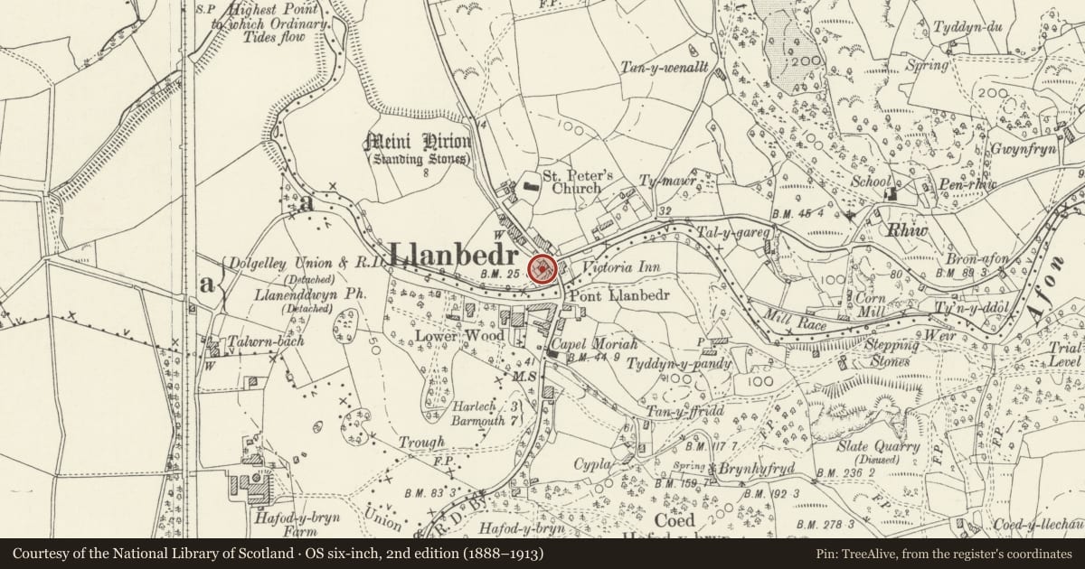 Ordnance Survey six-inch map, 2nd edition (1888–1913) covering the location of Wenallt Stores, Llanbedr, Gwynedd, with a pin at the register's coordinates