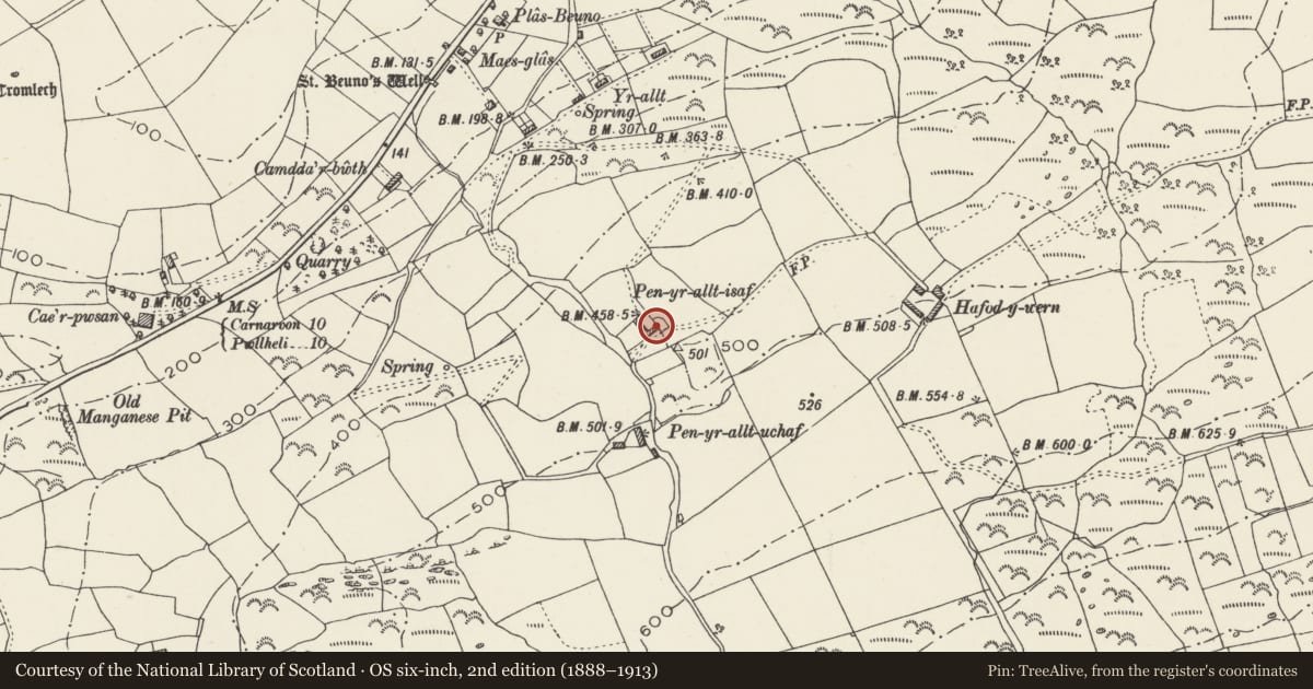 Ordnance Survey six-inch map, 2nd edition (1888–1913) covering the location of Pen yr allt Isaf, Clynnog, Gwynedd, with a pin at the register's coordinates