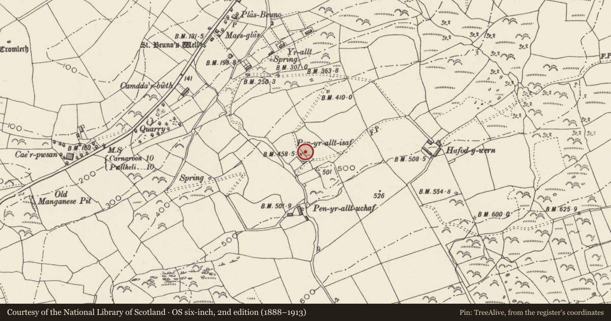 Ordnance Survey six-inch map, 2nd edition (1888–1913) covering the location of Pigsty and outside kitchen at Pen yr allt Isaf, Clynnog, Gwynedd, with a pin at the register's coordinates
