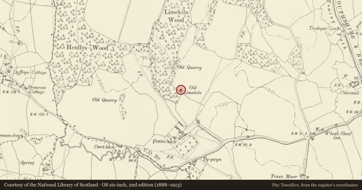Ordnance Survey six-inch map, 2nd edition (1888–1913) covering the location of Lime kiln N of Pentre-Bach (partly in the Llantarnam community), Torfaen, with a pin at the register's coordinates