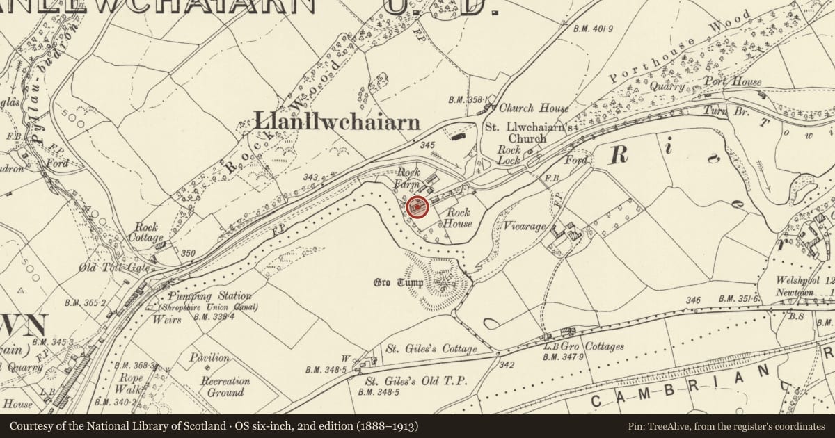 Ordnance Survey six-inch map, 2nd edition (1888–1913) covering the location of Rock House, Newtown and Llanllwchaiarn, Powys, with a pin at the register's coordinates