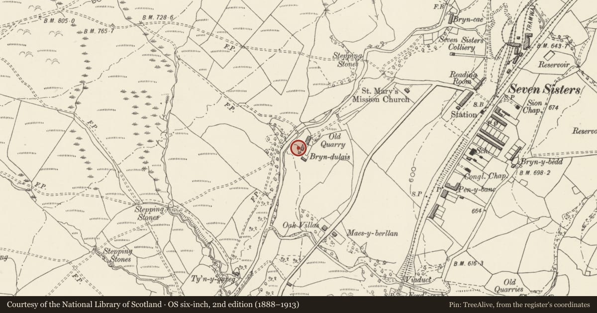 Ordnance Survey six-inch map, 2nd edition (1888–1913) covering the location of Circular pigsty at Blaendulais Farm, Seven Sisters, Neath Port Talbot, with a pin at the register's coordinates