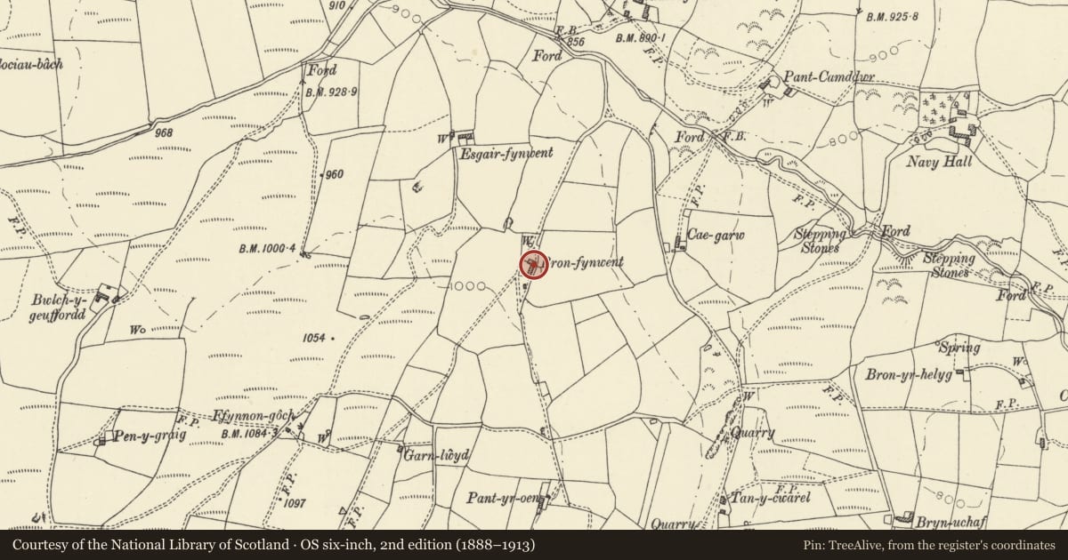 Ordnance Survey six-inch map, 2nd edition (1888–1913) covering the location of Bronfynwent, Lledrod, Ceredigion, with a pin at the register's coordinates