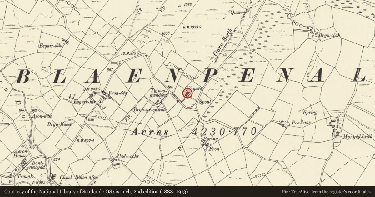 Ordnance Survey six-inch map, 2nd edition (1888–1913) covering the location of Cilgarn, Lledrod, Ceredigion, with a pin at the register's coordinates