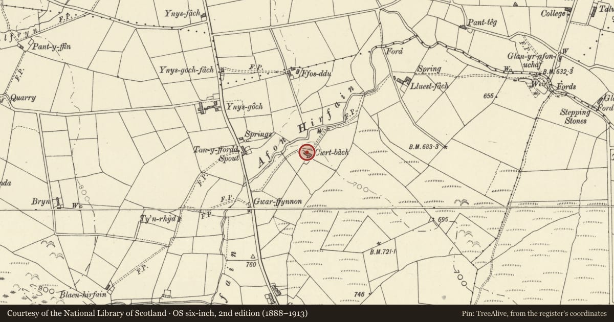 Ordnance Survey six-inch map, 2nd edition (1888–1913) covering the location of Cwrt Bach with attached outbuilding, Lledrod, Ceredigion, with a pin at the register's coordinates