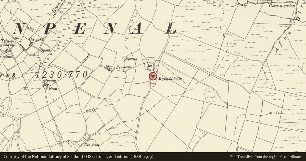 Ordnance Survey six-inch map, 2nd edition (1888–1913) covering the location of Mynydd Brith, Lledrod, Ceredigion, with a pin at the register's coordinates
