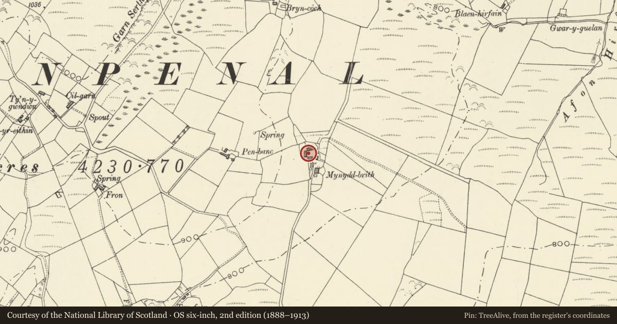 Ordnance Survey six-inch map, 2nd edition (1888–1913) covering the location of Outbuilding at Mynydd Brith, Lledrod, Ceredigion, with a pin at the register's coordinates