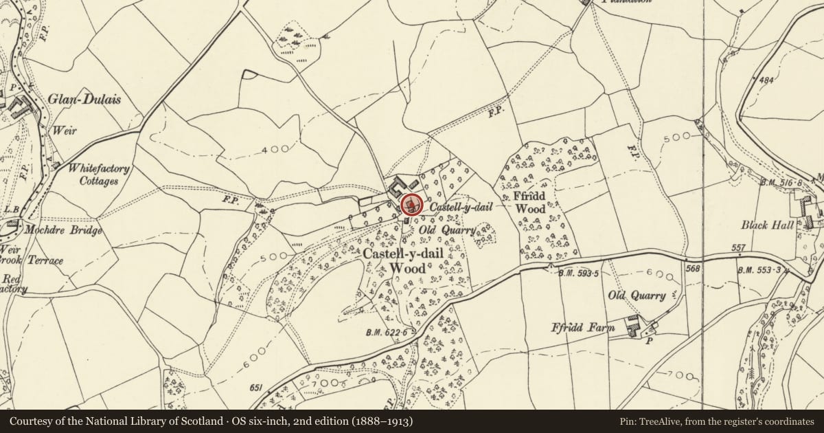Ordnance Survey six-inch map, 2nd edition (1888–1913) covering the location of Castell-y-Dail Farmhouse, Newtown and Llanllwchaiarn, Powys, with a pin at the register's coordinates